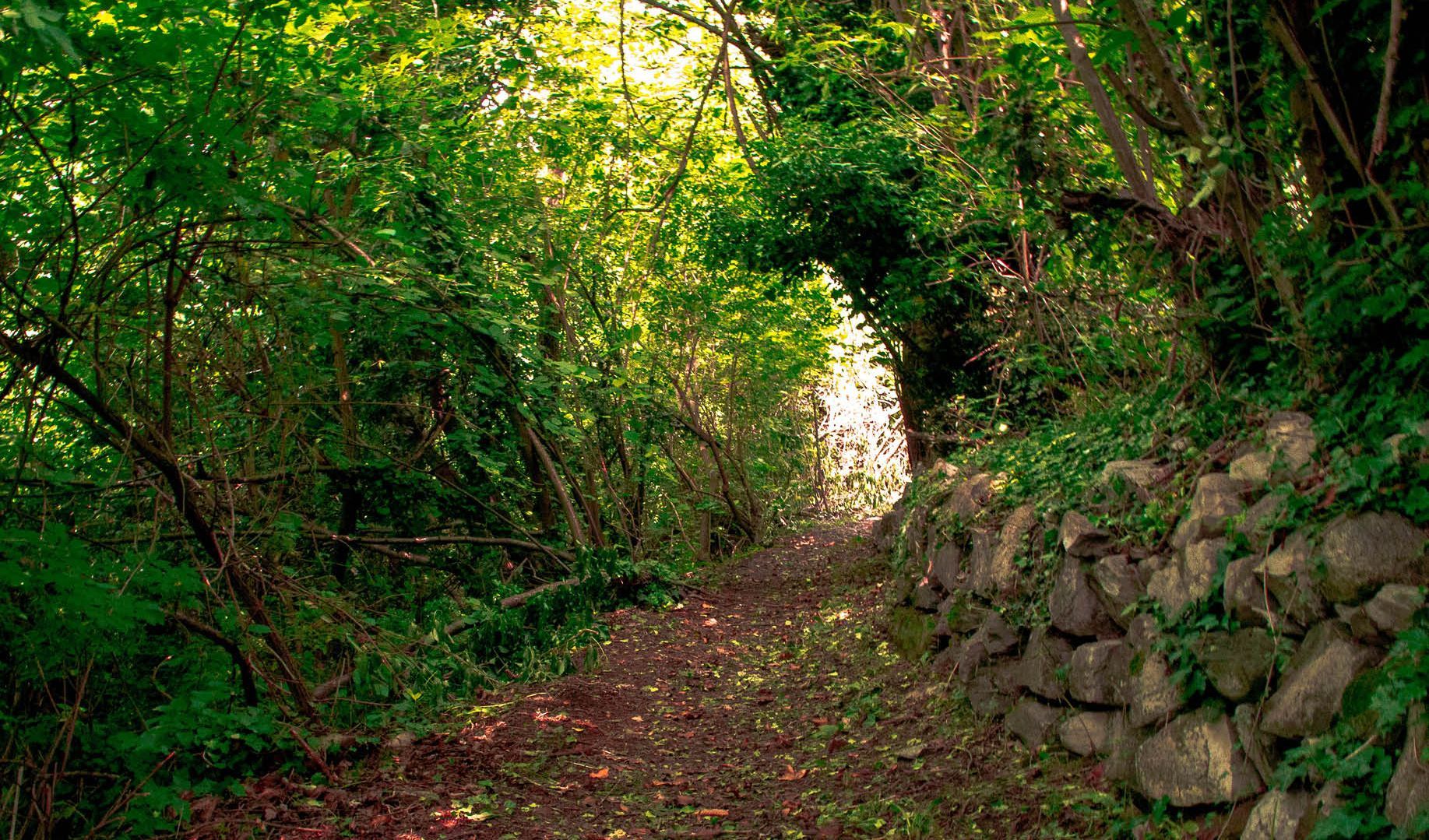 Immagine delle evento: Forum Parchi Lombardia: scegli la natura