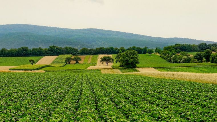 Immagine delle evento: IL SISTEMA AGRO-ALIMENTARE LOMBARDO