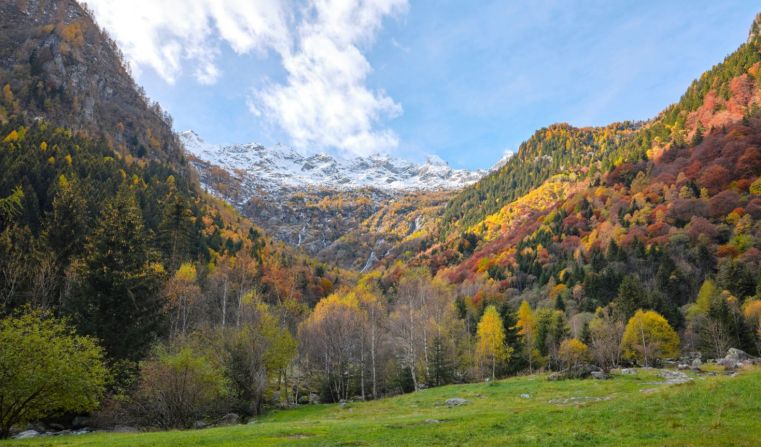 Immagine delle evento: Stati Generali Natura 2000 - Progetto Life Gestire 2020. Biodiversità e cambiamento climatico