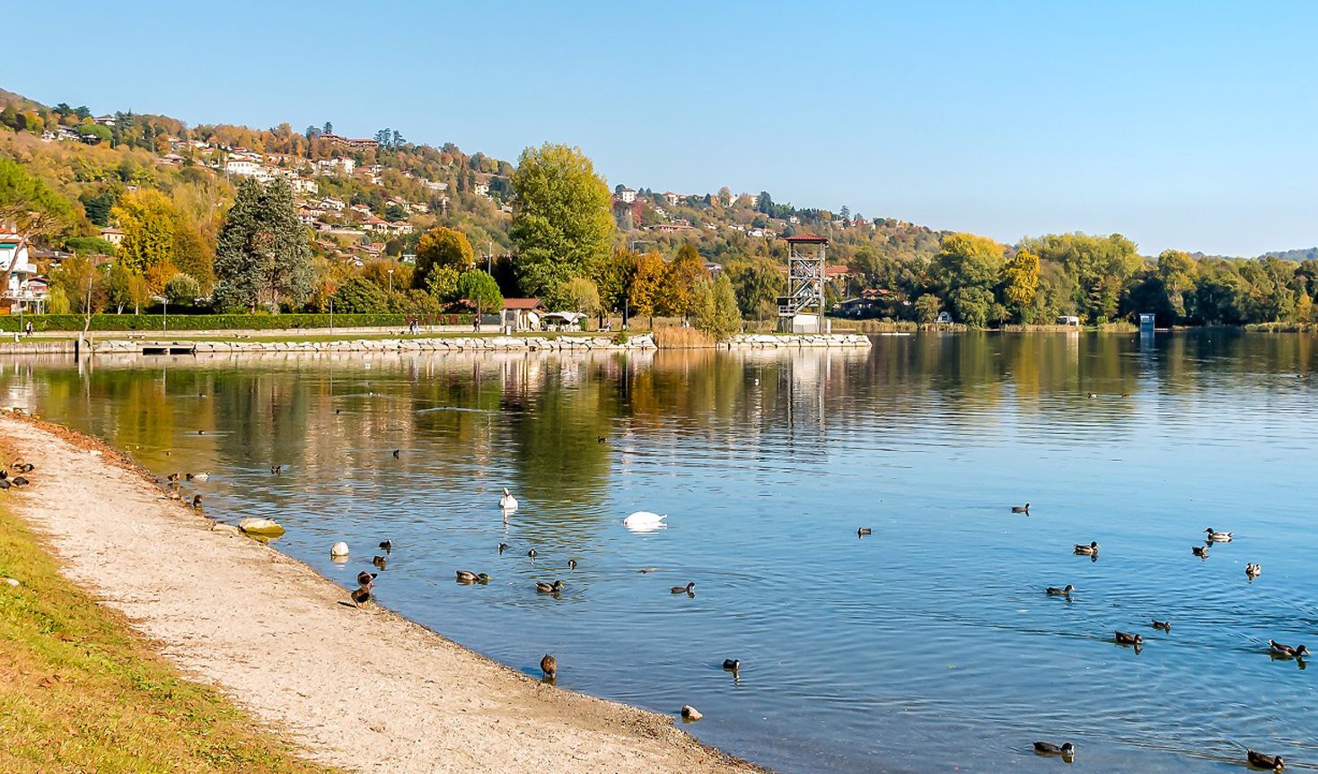 Immagine delle evento: Il Lago che vogliamo - Giornata sul Risanamento del Lago di Varese