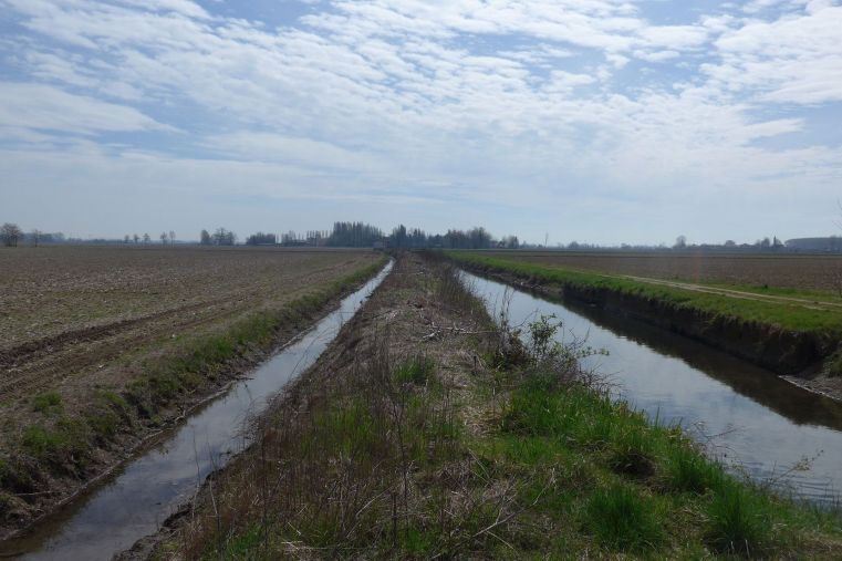 Immagine delle evento: Acque irrigue e canali in Lombardia