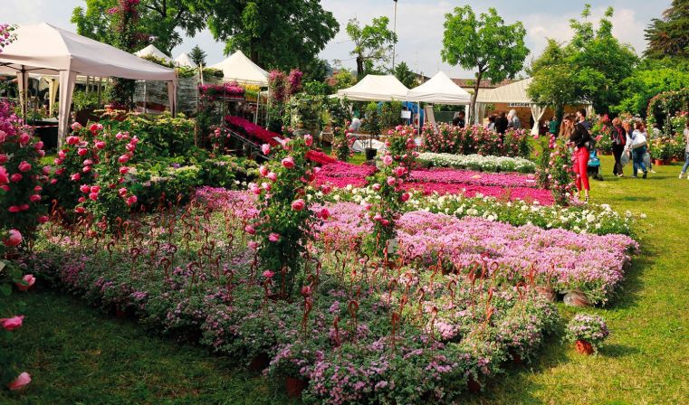 Immagine delle evento: Franciacorta in fiore